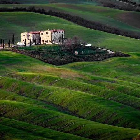 Podere Fossaccio Casa Olivo Asciano