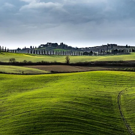 Podere Fossaccio Casa Olivo Holiday home